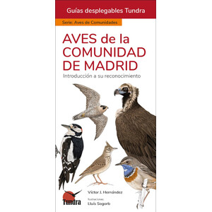 AVES DE LA COMUNIDAD DE MADRID. INTRODUCCIÓN A LAS ESPECIES MÁS FRECUENTES. GUÍAS DESPLEGABLES TUNDRA