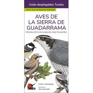 AVES DE LA SIERRA DE GUADARRAMA. INTRODUCCIÓN A LAS ESPECIES MÁS FRECUENTES. GUÍAS DESPLEGABLES TUNDRA