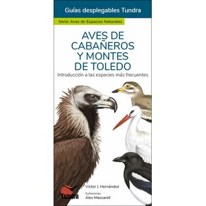 AVES DE CABAÑEROS Y MONTES DE TOLEDO. INTRODUCCIÓN A LAS ESPECIES MÁS FRECUENTES. GUÍAS DESPLEGABLES TUNDRA