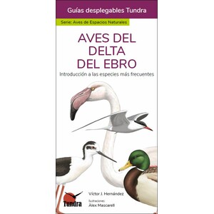 AVES DEL DELTA DEL EBRO. INTRODUCCIÓN A LAS ESPECIES MÁS FRECUENTES. GUÍAS DESPLEGABLES TUNDRA