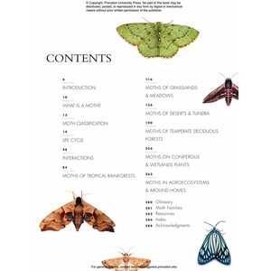 THE LIVES OF MOTHS. A NATURAL HISTORY OF OUR PLANET'S MOTH LIFE_1