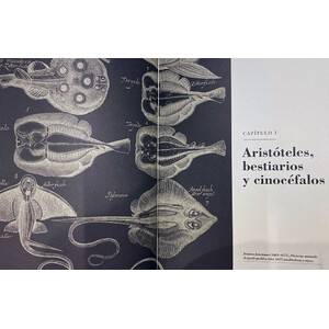 LA CLASIFICACIÓN DE LOS ANIMALES. UN ESTUDIO ILUSTRADO 3