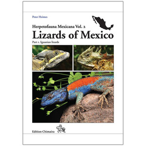 LIZARDS OF MEXICO PART 1 IGUANIAN LIZARDS