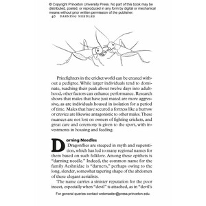 INSECTPEDIA. A BRIEF COMPENDIUM OF INSECT LORE 2