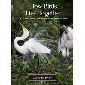 HOW BIRDS LIVE TOGETHER. COLONIES AND COMMUNITIES IN THE AVIAN WORLD