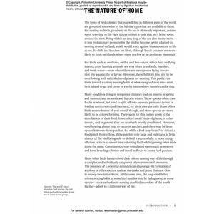 HOW BIRDS LIVE TOGETHER. COLONIES AND COMMUNITIES IN THE AVIAN WORLD 4
