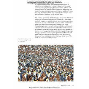 HOW BIRDS LIVE TOGETHER. COLONIES AND COMMUNITIES IN THE AVIAN WORLD 5