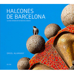 HALCONES DE BARCELONA / BARCELONA FALCONS
