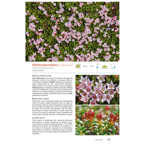 PLANTES DE MONTAGNE 5
