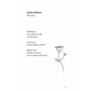 FLORES_1