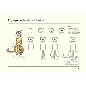 CÓMO SON LOS ANIMALES Y CÓMO DIBUJARLOS 3