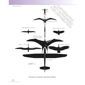 THE PRINCETON FIELD GUIDE TO PTEROSAURS 2