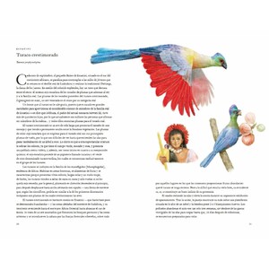 LA VUELTA AL MUNDO EN 80 AVES_1