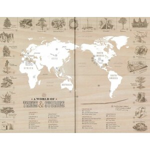TREE STORY. THE HISTORY OF THE WORLD WRITTEN IN RINGS 2