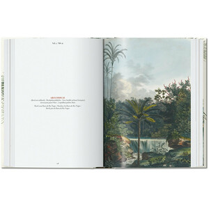 THE BOOK OF PALMS. EDICIÓN 40 ANIVERSARIO 4
