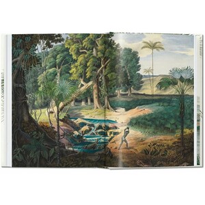 THE BOOK OF PALMS. EDICIÓN 40 ANIVERSARIO 5