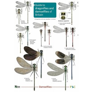 FSC WILDLIFE PACK: PONDS_1
