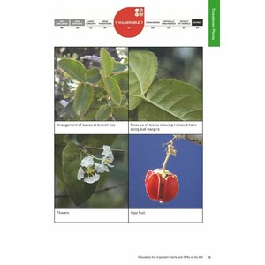 RETAINING NATURE'S LITTLE SECRETS. A GUIDE TO THE IMPORTANT PLANTS AND TROPICAL IMPORTANT PLANT AREAS OF THE BRITISH VIRGIN ISLANDS 2