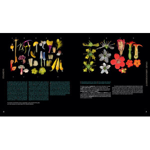ATLAS OF FLOWERING PLANTS_1