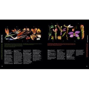 ATLAS OF FLOWERING PLANTS 3