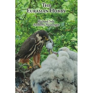 THE EURASIAN HOBBY