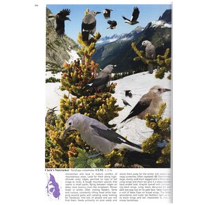 THE CROSSLEY ID GUIDE : WESTERN BIRDS 3