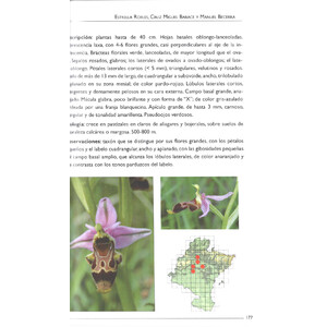 ORQUÍDEAS SILVESTRES DE NAVARRA 3