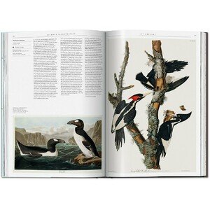 SCIENCE ILLUSTRATION. A HISTORY OF VISUAL KNOWLEDGE FROM THE 15TH CENTURY TO TODAY 3