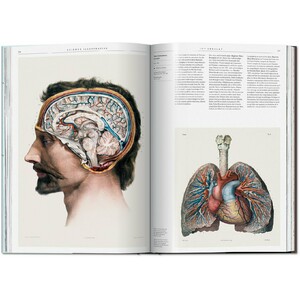SCIENCE ILLUSTRATION. A HISTORY OF VISUAL KNOWLEDGE FROM THE 15TH CENTURY TO TODAY 5
