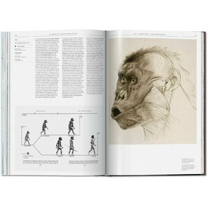 SCIENCE ILLUSTRATION. A HISTORY OF VISUAL KNOWLEDGE FROM THE 15TH CENTURY TO TODAY 6