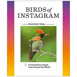BIRDS OF INSTAGRAM
