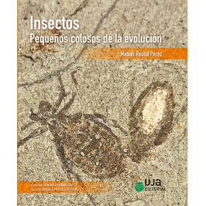 INSECTOS: PEQUEÑOS COLOSOS DE LA EVOLUCIÓN