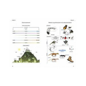 LE GLOSSAIRE ILLUSTRÉ POUR LA BOTANIQUE DE TERRAIN 3