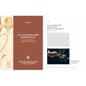 MANUAL DE ILUSTRACIÓN CIENTÍFICA 4