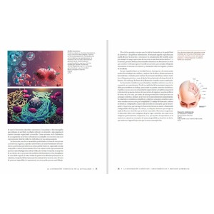 MANUAL DE ILUSTRACIÓN CIENTÍFICA 5
