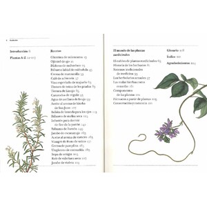 GUÍA DEL JARDÍN SOBRE PLANTAS MEDICINALES. REMEDIOS CASEROS Y PLANTAS CURATIVAS DE LA A A LA Z 2