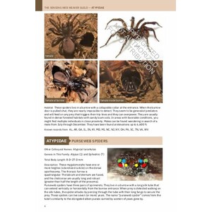 PRINCETON FIELD GUIDE SPIDERS OF NORTH AMERICA_1