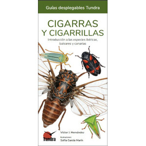 CIGARRAS Y CIGARRILLAS. INTRODUCCIÓN A LAS ESPECIES IBÉRICAS, BALEARES Y CANARIAS. GUÍAS DESPLEGABLES TUNDRA