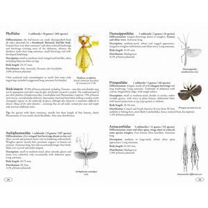 STICK AND LEAF INSECTS OF THE WORLD. PHASMIDS 2