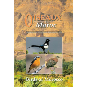 OISEAUX DU MAROC - BIRDS OF MOROCCO