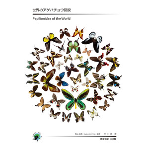 PAPILIONIDAE OF THE WORLD