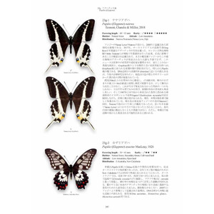 PAPILIONIDAE OF THE WORLD_1