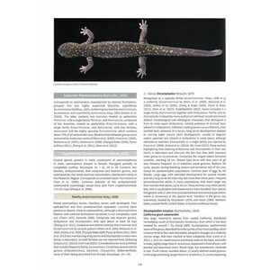 SALAMANDERS &AMP; NEWTS OF THE WORLD_1