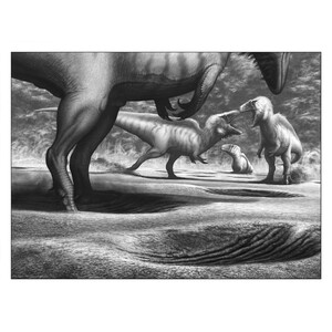 LOCKED IN TIME. ANIMAL BEHAVIOR UNEARTHED IN 50 EXTRAORDINARY FOSSILS 2