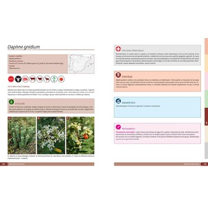 PLANTAS TÓXICAS PARA RUMIANTES 2