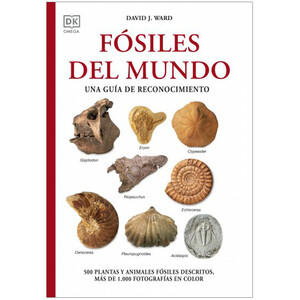 FÓSILES DEL MUNDO. UNA GUÍA DE RECONOCIMIENTO