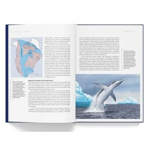 ANCIENT SEA REPTILES. PLEIOSAURS, ICHTHYOSAURS, MOSASAURS &AMP; MORE 3