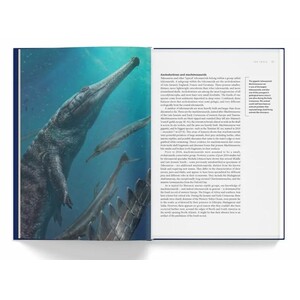 ANCIENT SEA REPTILES. PLEIOSAURS, ICHTHYOSAURS, MOSASAURS &AMP; MORE 4