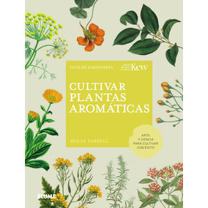CULTIVAR PLANTAS AROMÁTICAS