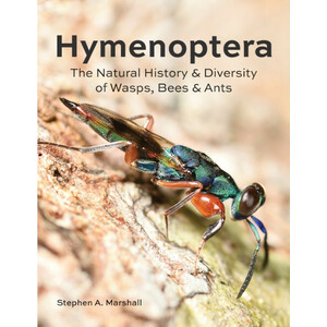 HYMENOPTERA THE NATURAL HISTORY BAND DIVERSITY OF WASPS, BEES AND ANTS